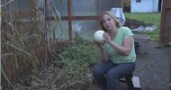 Gardening Tips : How to Grow Honeydew Melon