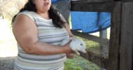 Homesteadinarental’s Rabbit intro.. Homesteading can be done where ever you live