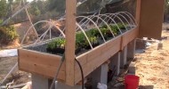 Build your own 4 x 16 Aquaponics System 8a