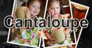 Cantaloupe