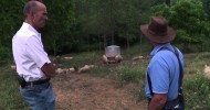 Dr. Mercola Discusses Pigs with Joel Salatin at Polyface Farm