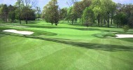 Healthy Grow, Organic Fertilizer for Golf Course