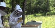 BeeKeeper