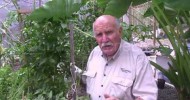 Commercial Aquaponics at California.