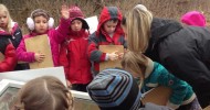 First Grade Scientists Participate in Cold Frame Gardening