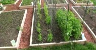 GreenFun: Beginner Vegetable Gardener in Ottawa Canada and his Garden Part I