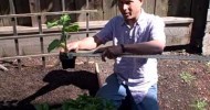 How to Build a 4′ x 4′ Raised Bed Garden Kit from Start to Finish