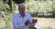 Joel Salatin on Economically and Environmentally Sustainable Farm Businesses