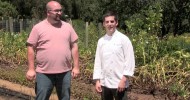 Madrona Manor’s Organic Garden