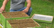 The Neonicotinoid View- Ontario Beekeepers Efforts To Ban Neonicotinoids In Canada