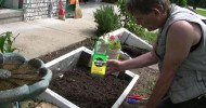 Cold Frame Prep and Fall  Seeding