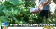 How to Create & Manage an Organic Garden : Using Organic Hydroponic Nutrients