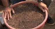 How to Make Soil for a Raised-Bed Vegetable Garden : Raised-Bed Gardens