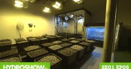 HYDROSHOW – Season 1 Episode 5 – Hydroponics Magazine Show