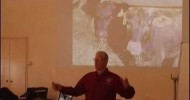 Joel Salatin on overwintering cows, and pigaerators