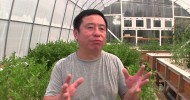 Peng’s Aquaponics Introduction