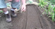 Planting Staggered Bush Beans In Raised Beds : Gardening Michigan