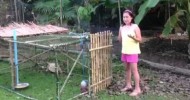 Annie’s chicken tractor