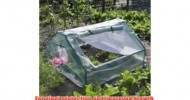 Apollo Cold Frame Greenhouse