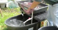 Aquaponic Plants & Hydroponics Equipment