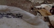 Cantaloupe and Petunia seeds on a wet paper towel, in a ziploc bag 41512, 42812.AVI