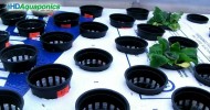 HD Aquaponics Ep.30 – Advanced Barrel Aquaponics, swirl filter, floating raft, u-siphon, indoor