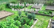 How Big should my Raised Beds be? Raised-bed Gardening Tips