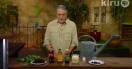 John Dromgoole homemade fertilizers & fungicides: Central Texas Gardener