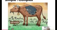 Protein Sources and Nutrition for Beef Cattle 20120