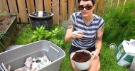 Building a Worm Compost / Vermicompost