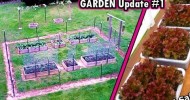 Garden Update #1 May 6th raised bed container square foot vegetable gardening