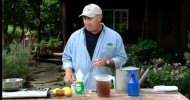 GardenRx’s Organic “Homemade-Costs-Pennies” Bug Spray Recipe that Works!