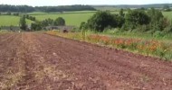 Organic Vegetable Farming with Shillingford Organics