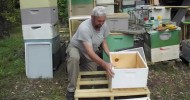 TOP BOTTOM Combination Board Beehive Equipment Beekeeping Honey Bee Hive, Georgia Beekeeper John Plu