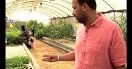 Bustan Aquaponics Farm: New Technique to improve Africulture in Egypt