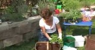 Container Gardening: Container Herb Garden