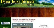 How-To Show A Dairy Goat