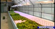 Tour New Iowa Aquaponics Farm