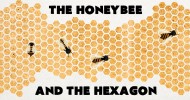 Why do honeybees love hexagons? – Zack Patterson and Andy Peterson