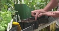 Nutritious Gardening : Planting Okra Seeds