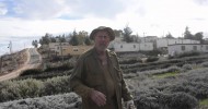 Organic Farming in Israel