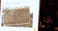 Bee Biology 101 for Beekeepers