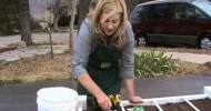 Square Foot Gardening 101: Planting