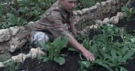 A Visit to the Ann Wigmore Institute Raised Bed Vegetable Garden