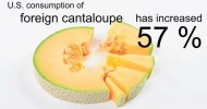 Cantaloupe: A Problem Fruit