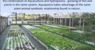 Hydroponics /  Aquaponics / Aquaculture