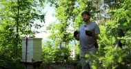 The importance of honey bees by Secret Garden of Survival – Rick Austin, Survivalist Gardener