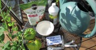 Using Organic Fish Emulsion or Fertilizer on Garden Vegetables: The Basics – The Rusted Garden 2013