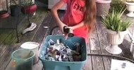 A Worm Bin Made with Shredded Newspaper