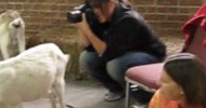 DENVER URBAN HOMESTEADING Goat Keeping Class